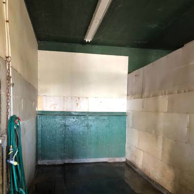 Douche pour chevaux avec tapis de caoutchouc et boyau d’arrosage