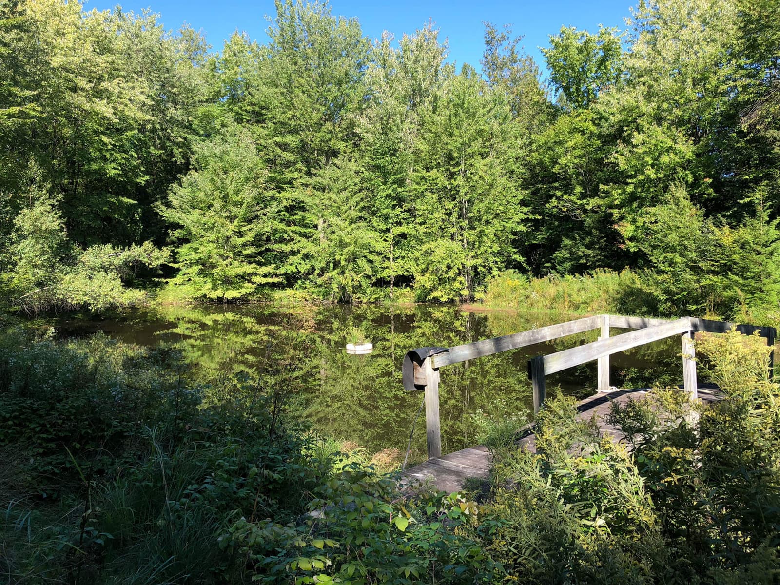 Lac privé entouré d’arbres, avec un petit quai de bois