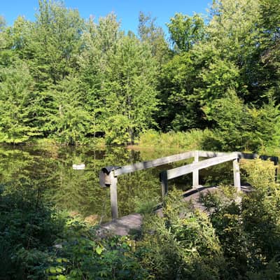 Lac privé entouré d’arbres, avec un petit quai de bois